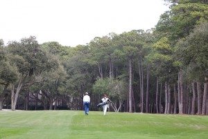 Fairways at Harbour Town Golf